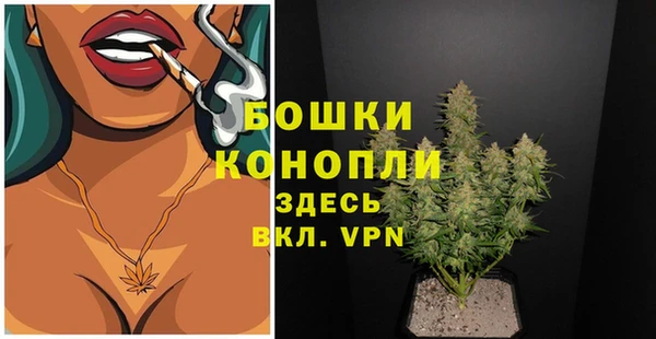 бошки Богородицк