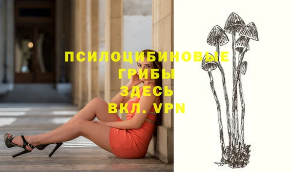 мдма Богданович